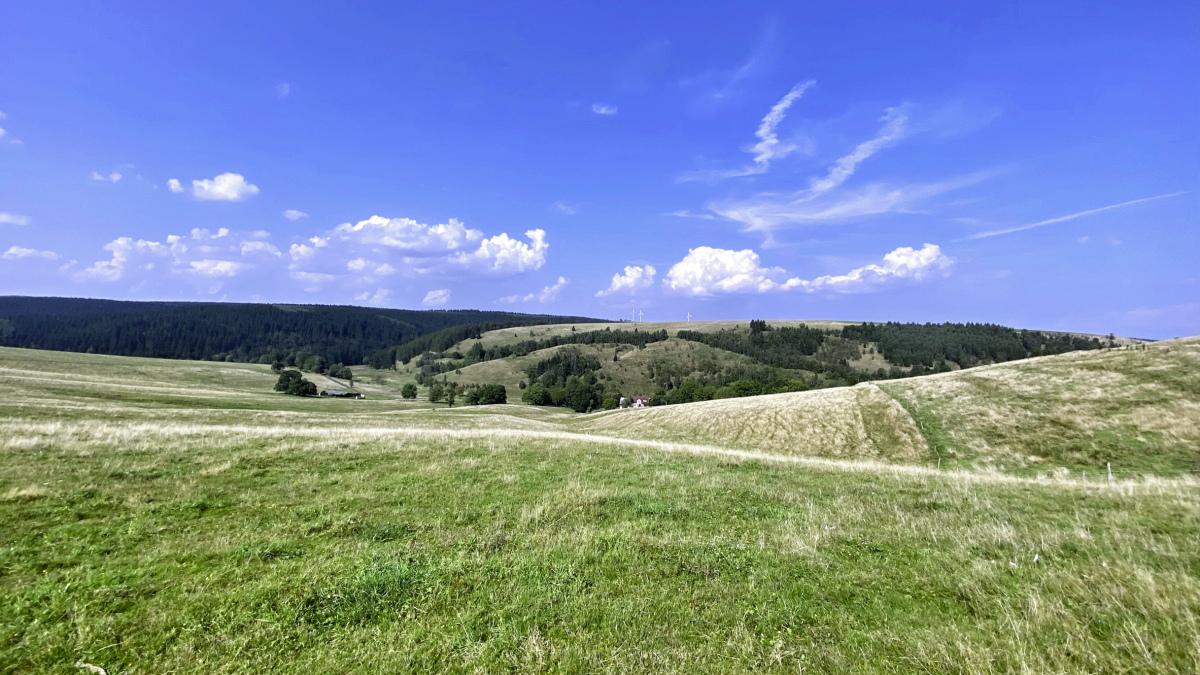 Moldavské pastviny  |  Krušnohorci