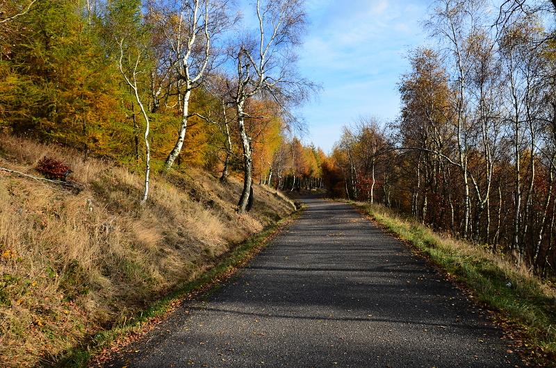 Barvy podzimu na Sedmihůrské cestě | Krušnohorci