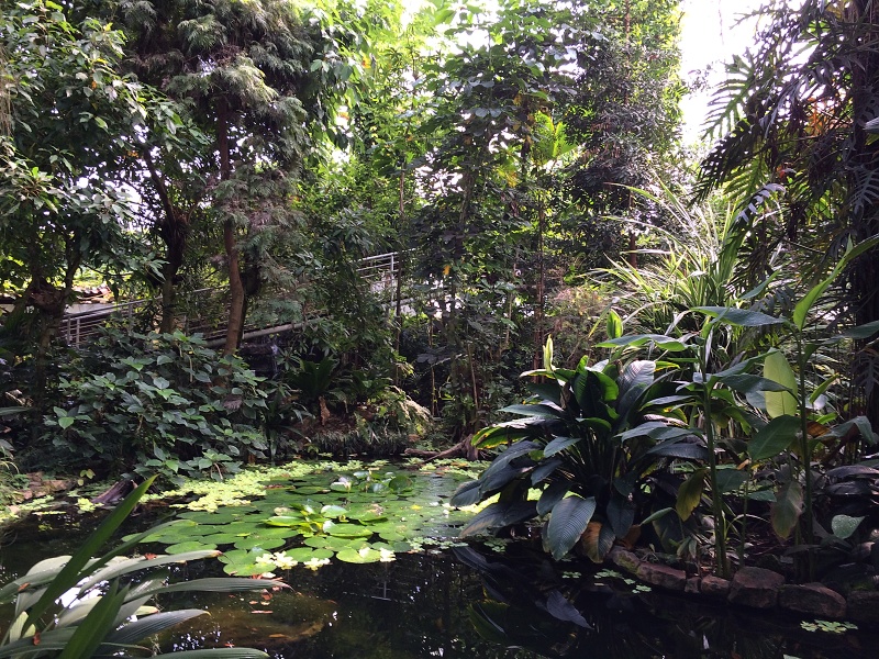 Botanická zahrada v Teplicích | Krušnohorci