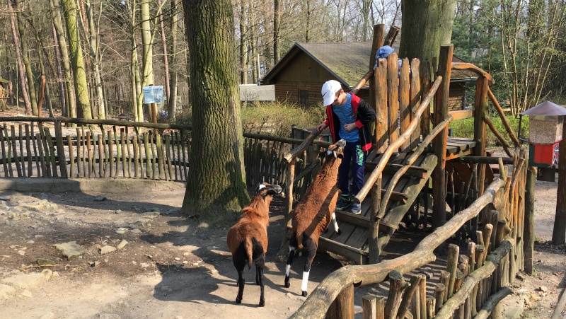Zoo v Děčíně | Krušnohorci