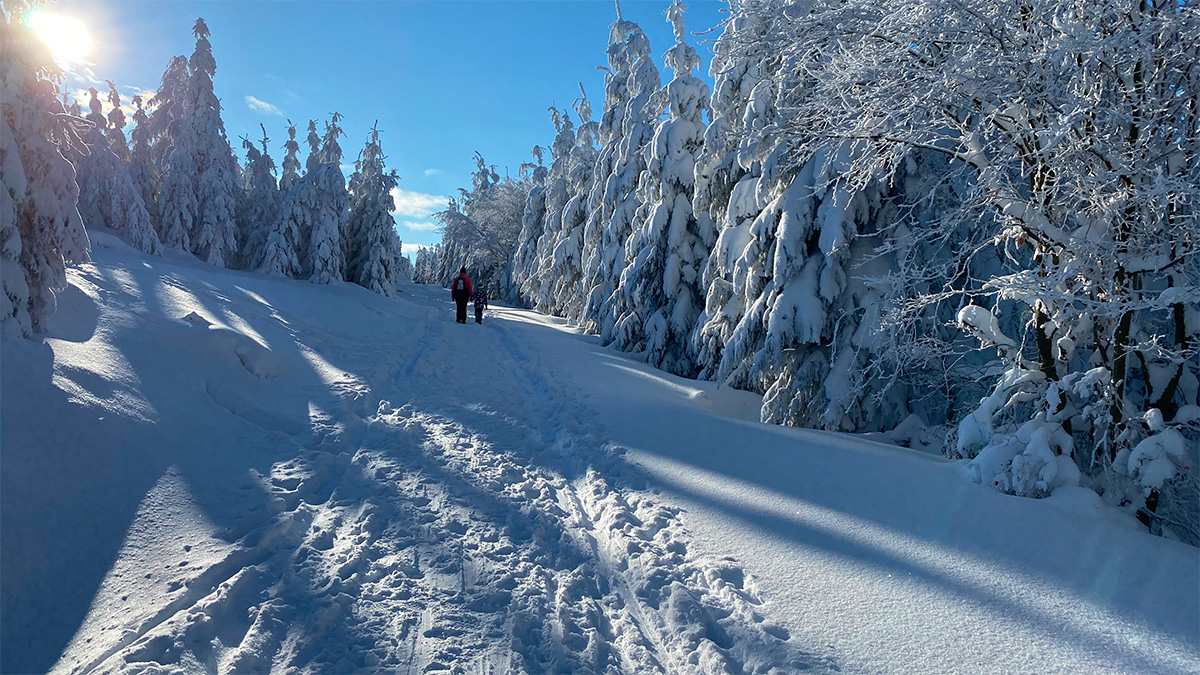 Zimní trasy pro pěší v okolí Perninku