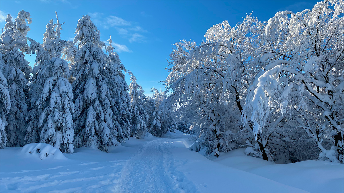 Zimní trasy pro pěší | Krušnohorci