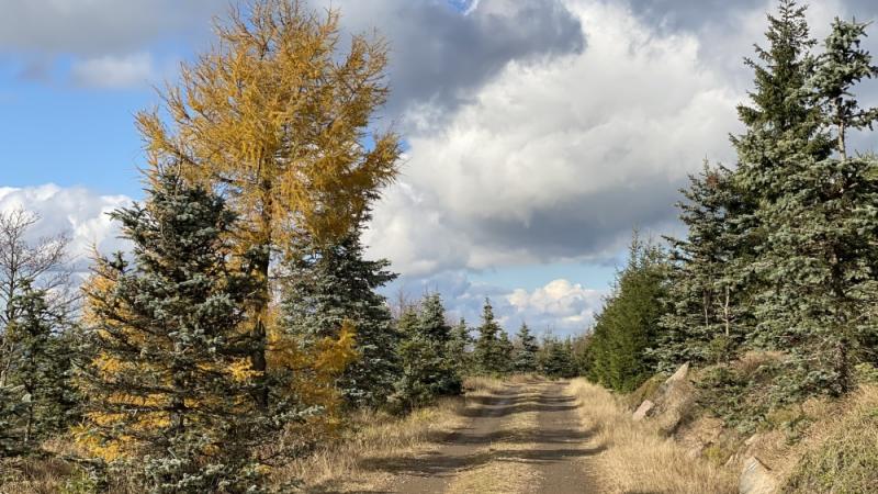 Podzimní procházka na Pramenáč | Krušnohorci
